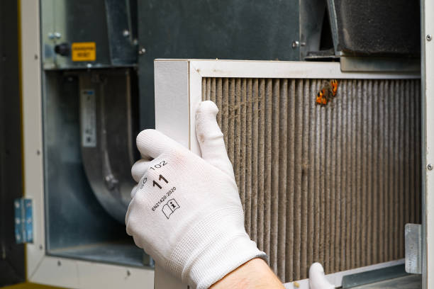 Best HVAC System Cleaning  in Pine Grove, CA