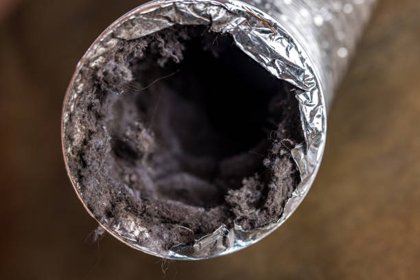 Best Best Air Duct Cleaning Company  in Pine Grove, CA